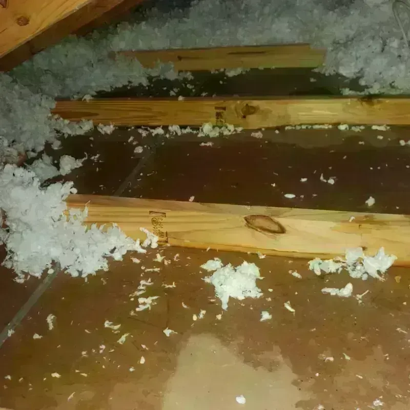 Attic Water Damage in Fairview, GA