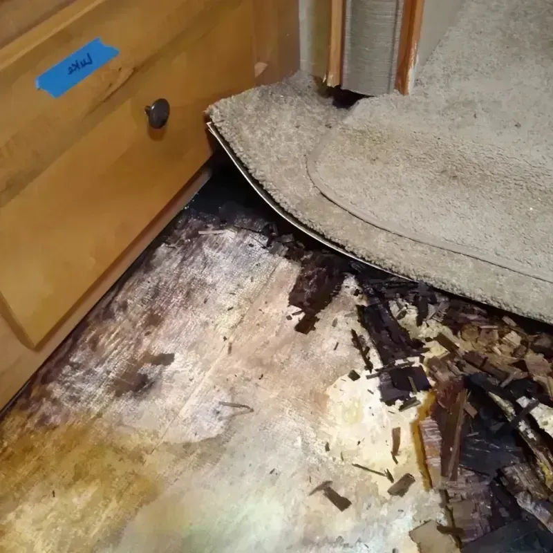 Wood Floor Water Damage in Fairview, GA